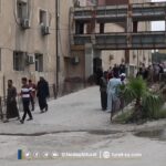 أخبار مفصلة