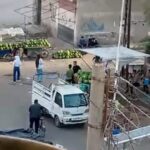 أخبار مفصلة