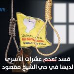 أخبار مفصلة